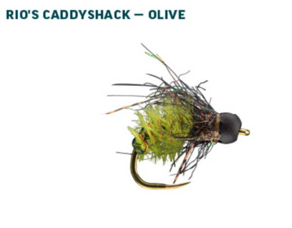 RIO Euro Nymph Fly Assortment RIO Euro Nymph Fly Assortment